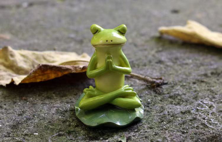 MEDITATION BUNNY AND FROG YOGA STATUES FOR SERENE DÉCOR